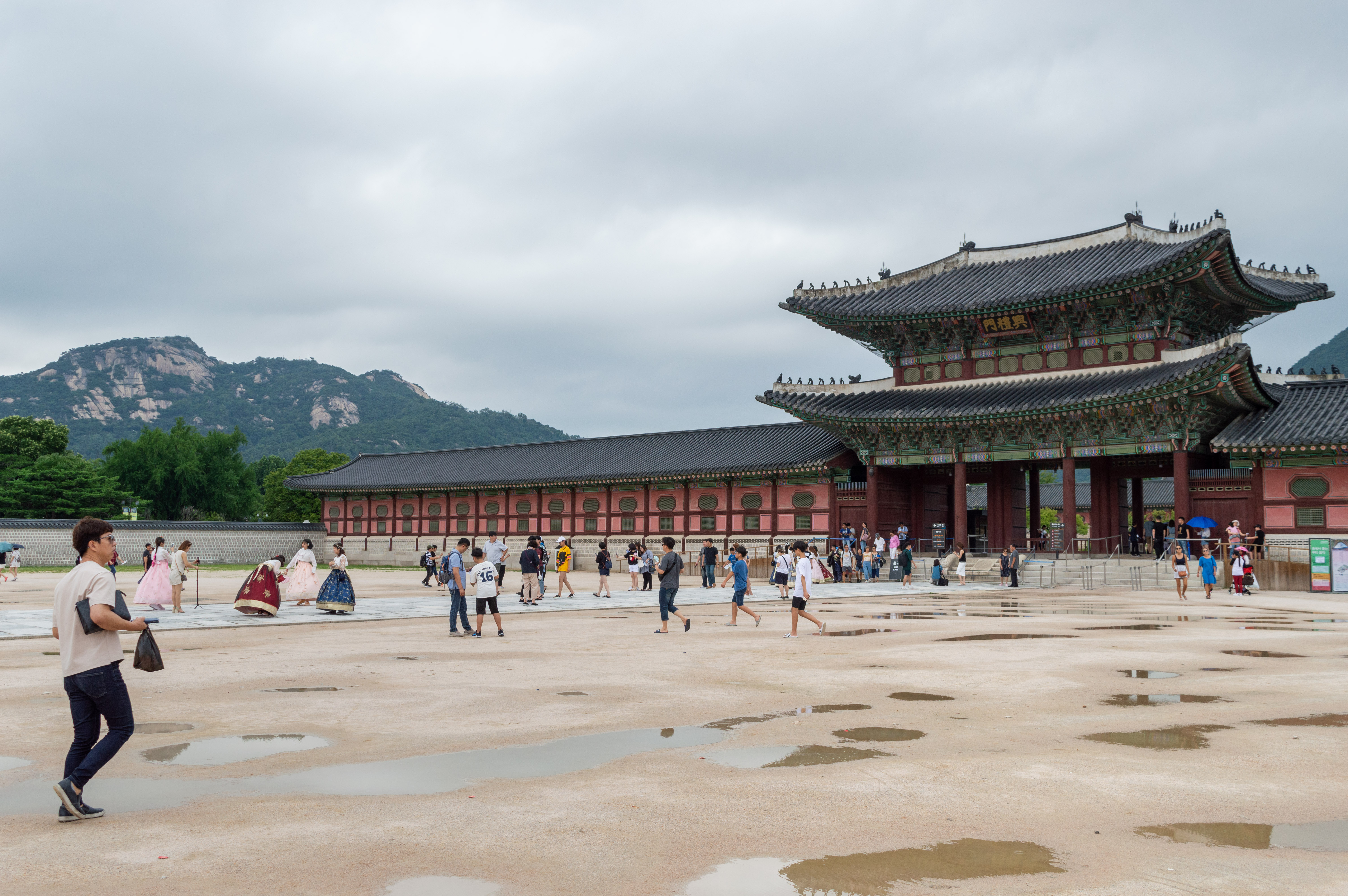 2019년 촬영한 경복궁 흥례문과 광장 자료사진
